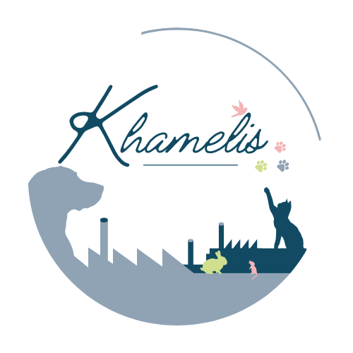Favicon officiel Khamelis